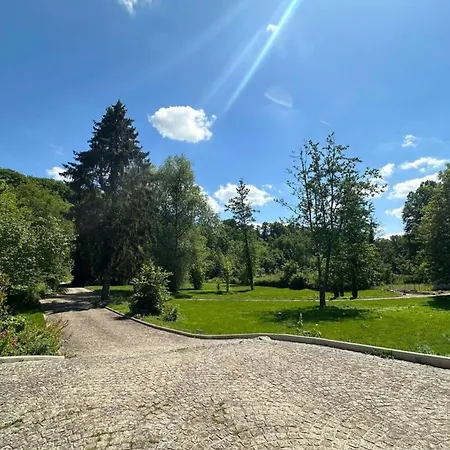 La Dommarienne - Collection Idylliq Dommiers