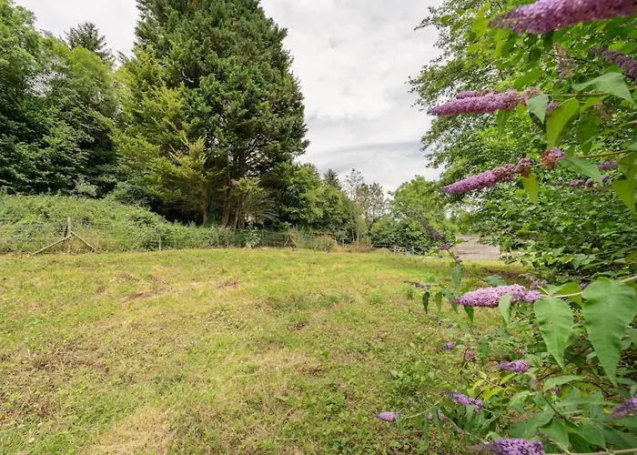 La Dommarienne - Collection Idylliq